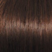 Raquel Welch Wig Color Dark Cinnamon