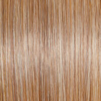 Raquel Welch Wig Color Golden Pecan