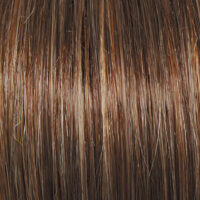 Raquel Welch Wig Color Golden Walnut