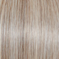 Raquel Welch Wig Color Silver & Smoke