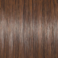 Raquel Welch Wig Color Sunlit Chestnut