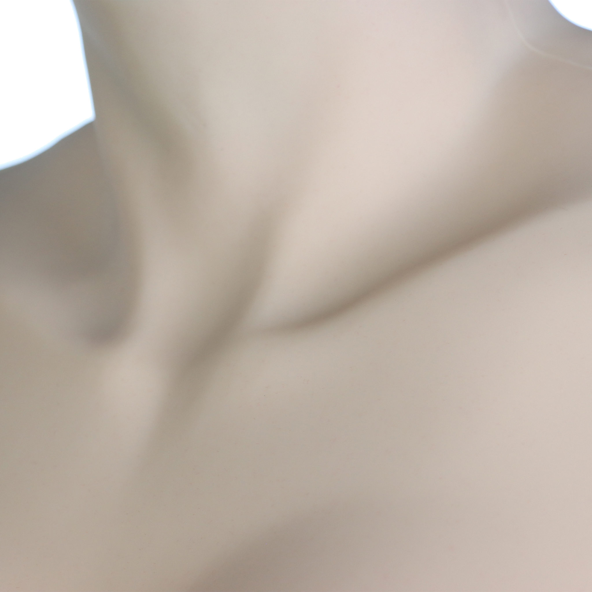 CLAVICLE_vanilla